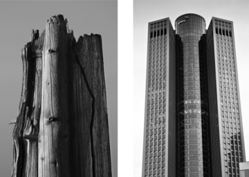 Architecture follows nature - Tower-185, Frankfurt