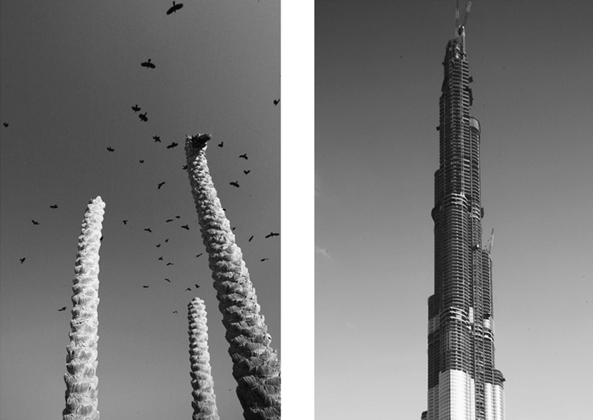 Architecture follows nature - Burj-Dubai-Tower