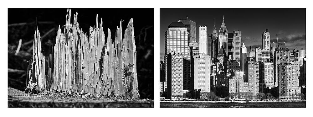 15 Baumstumpfspitzen und Manhattan New York